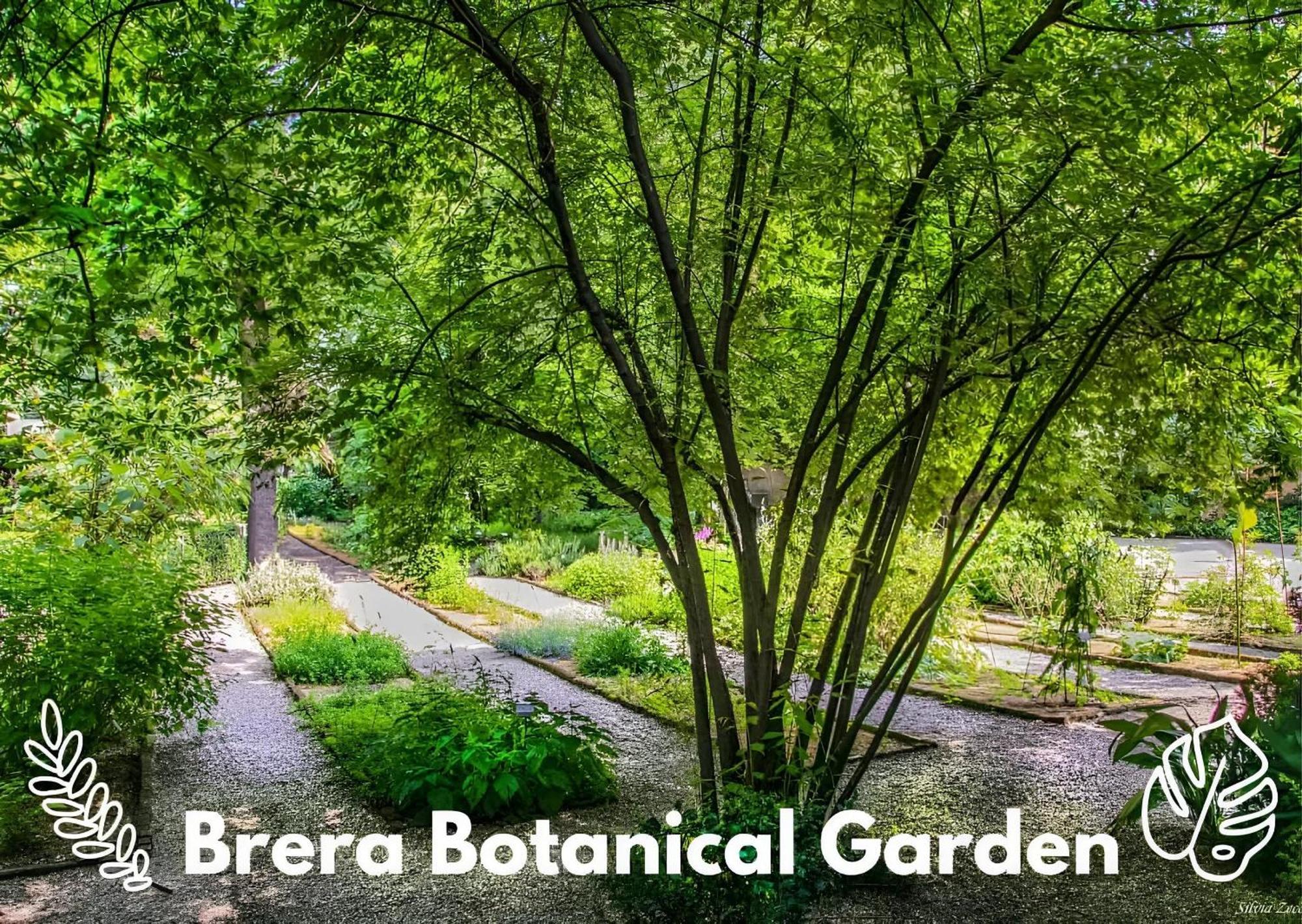 Appartamento Brera Vip Spotlight - Brera - Duomo - Castello Sforzesco - Lanza Metro M2
